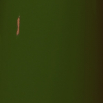 RAL 6014